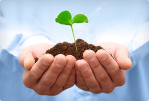 TRSA Environmental Responsibility