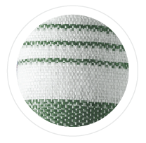green stripe napkin
